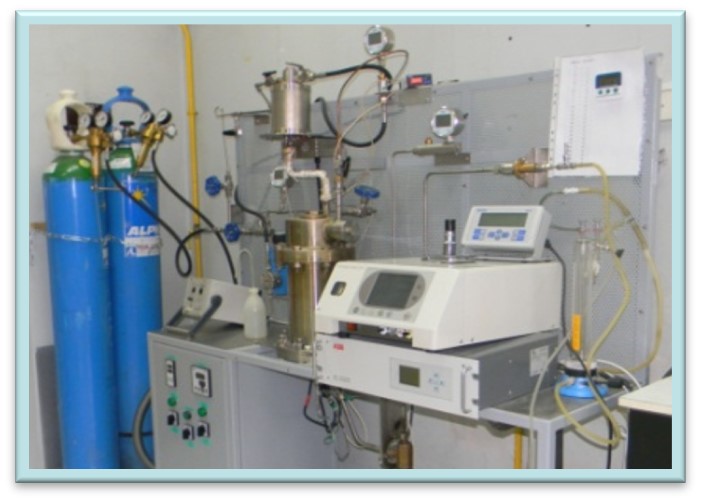 Setup for gasification kinetics